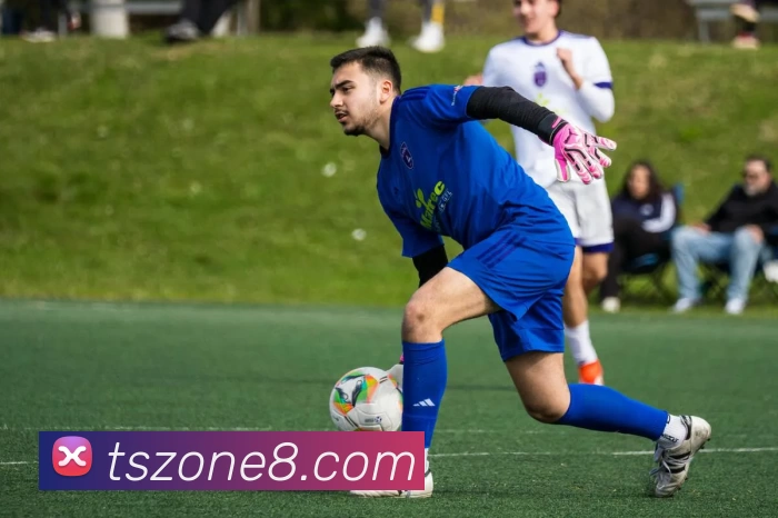 天狮娱乐官网发展历程